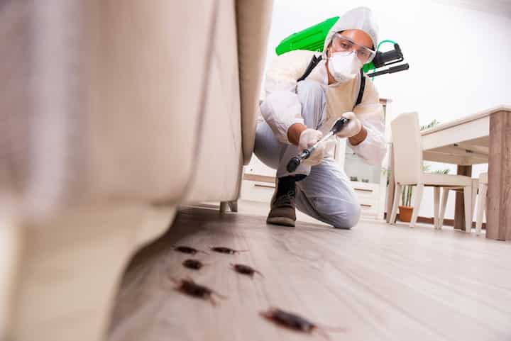 A picture of a man holding a can of pest control spray and aiming it at an unseen pest. The man appears to be indoors, possibly in a kitchen or other area where pests may be present. If you are dealing with a pest infestation in Ellsworth, ME, consider contacting a professional pest control company in the area for assistance.